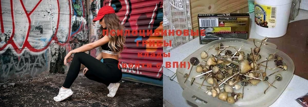 герыч Абаза